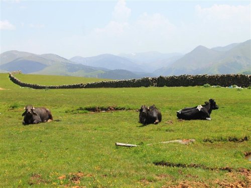 Fiziki, Sosyal ve Kültürel Yapı