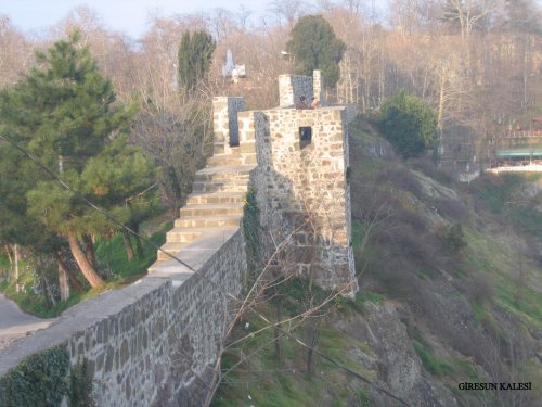 Milli Mücadelede Giresun'un Yeri ve Önemi
