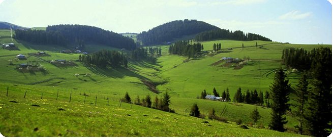 Giresun Coğrafi Yapısı